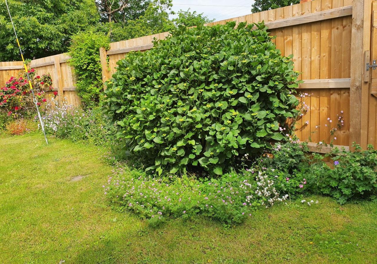 Forest Farm Papplewick Nottingham - Spacious Self-Contained Rural Retreat! Екстер'єр фото